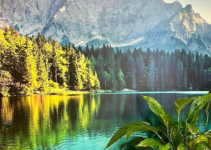 Apartment North Shore