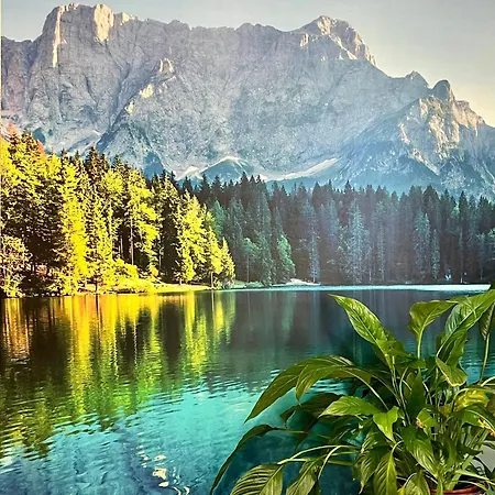 Lejlighed North Shore